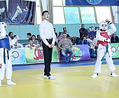В Крюково состоялся турнир по тхэквондо среди юношей и девушек
