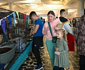 Выставка «Ищу друга» помогла найти дом четырем воспитанникам приюта «Зеленоград»