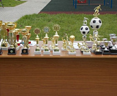 Зеленоградские полицейские провели спортивный праздник «Лето 2015»