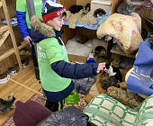Школьники стали гостями приюта «Зеленоград»