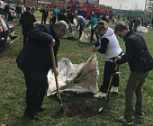 Крюковчане приняли участие в акции «Миллион деревьев»